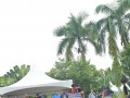Tn DSC 7877